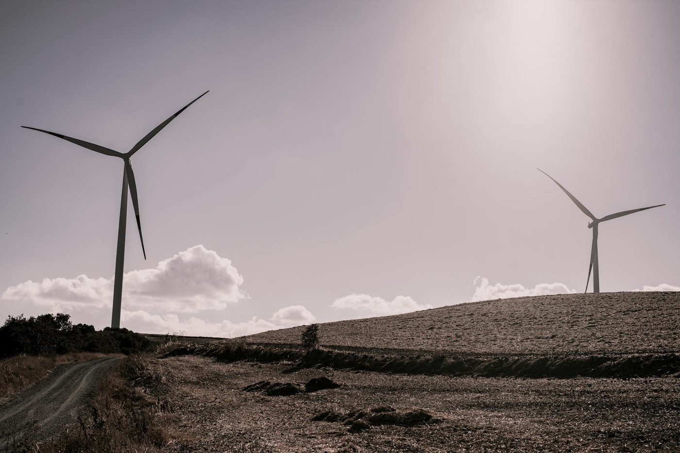 Windturbines doden bijna 19 miljoen vleermuizen in de VS — en het wordt steeds erger
