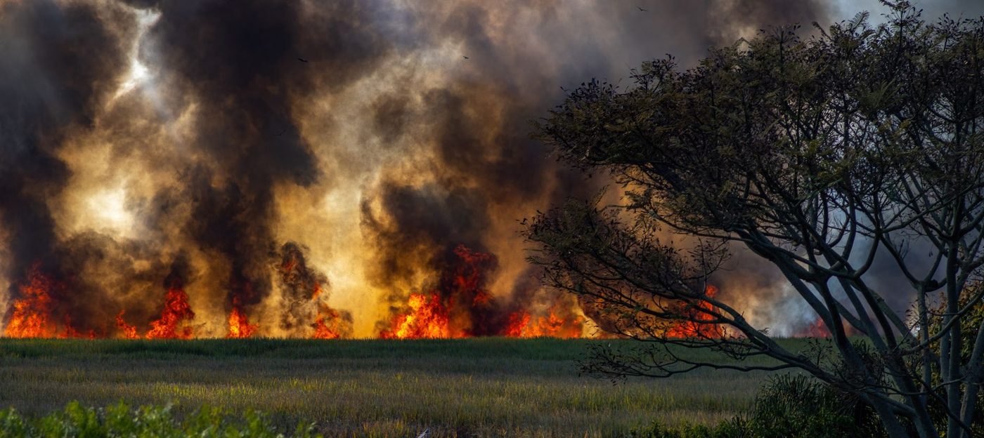 Meerdere natuurbranden teালেন schade aan in provincie Namen