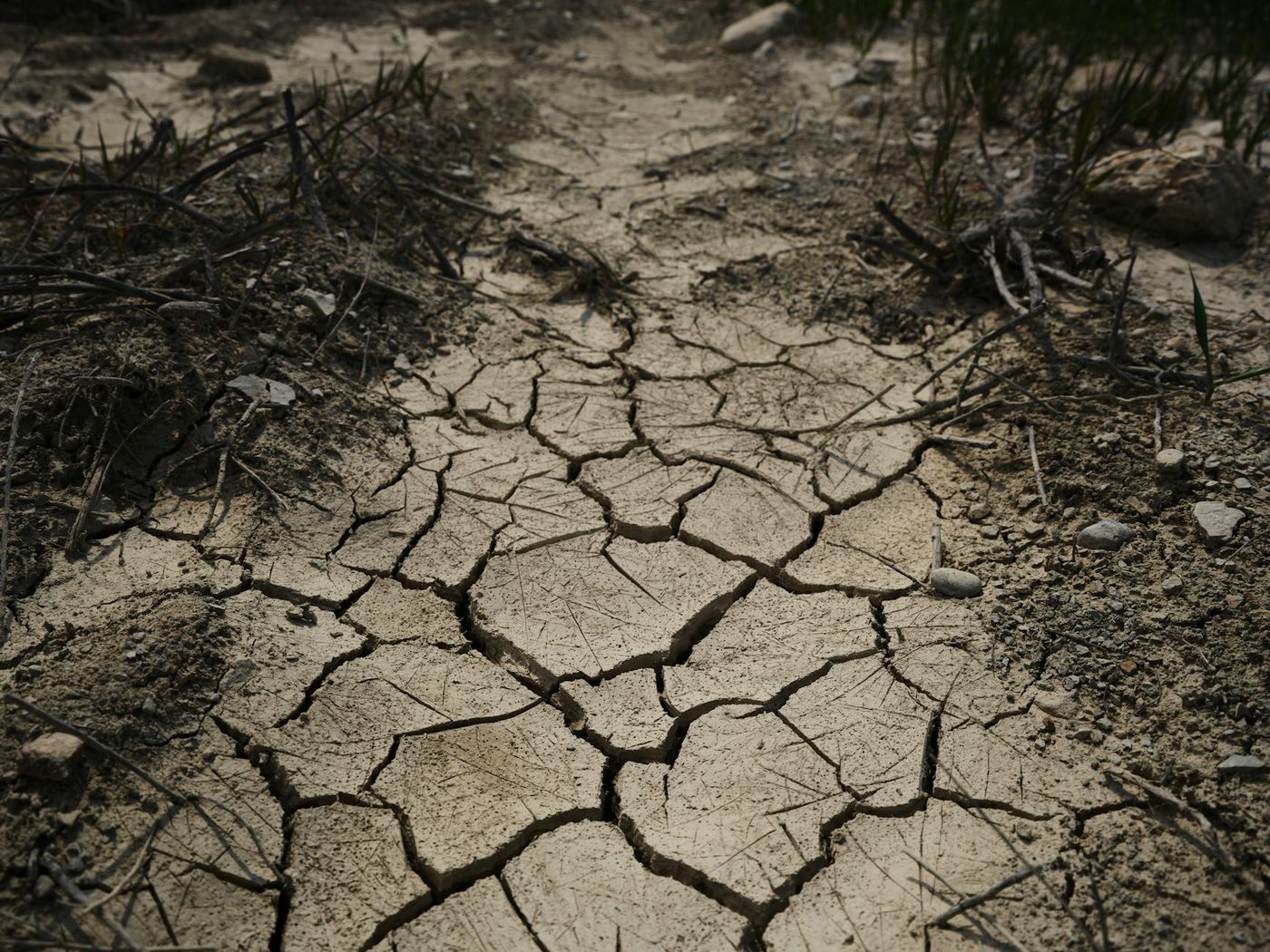 Historische klimaatuitspraak in België dwingt overheid tot drastische reductie van broeikasgassen
