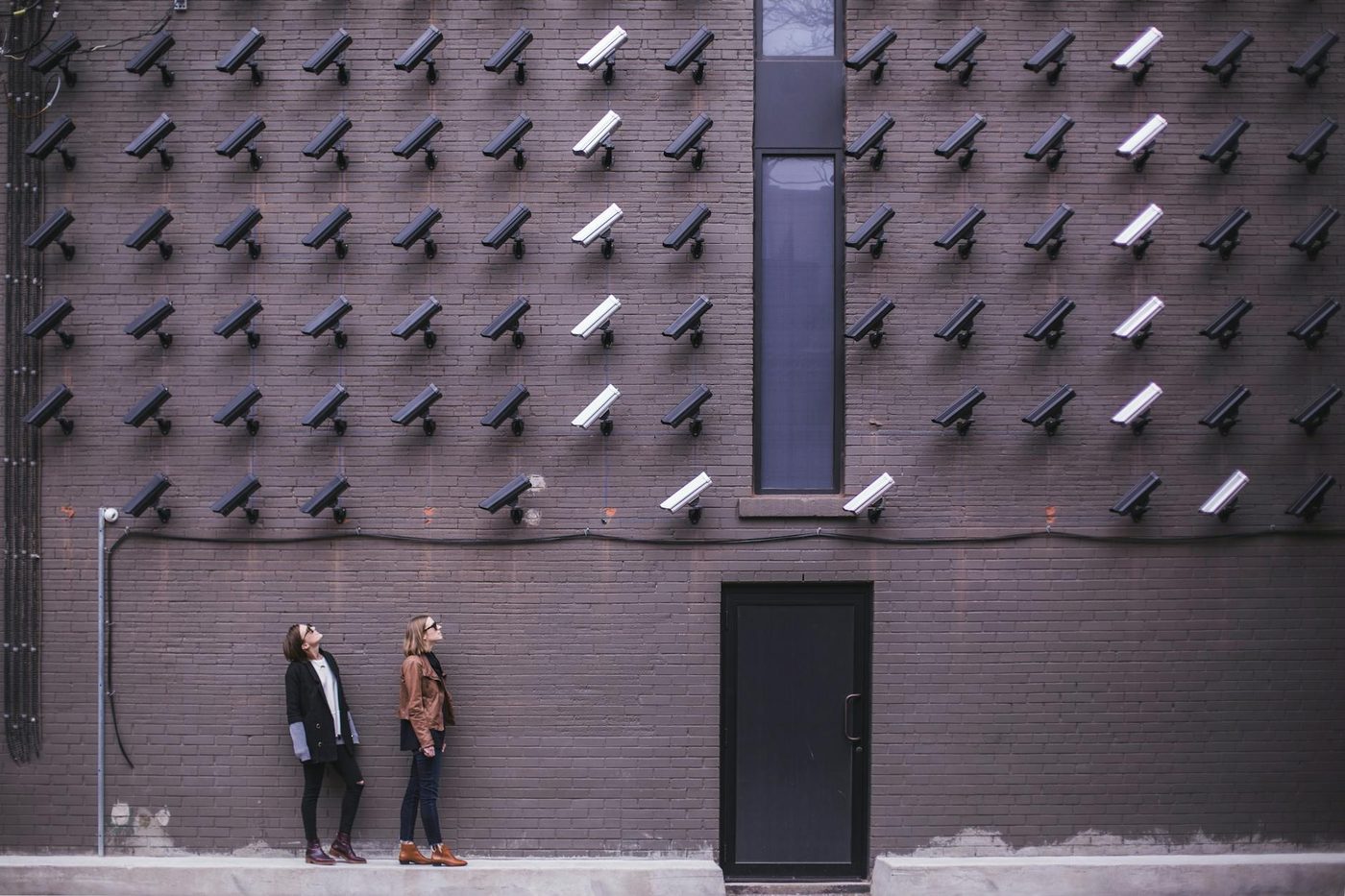 Dieren en privacy: een nieuwe dimensie in gegevensbescherming verkenning