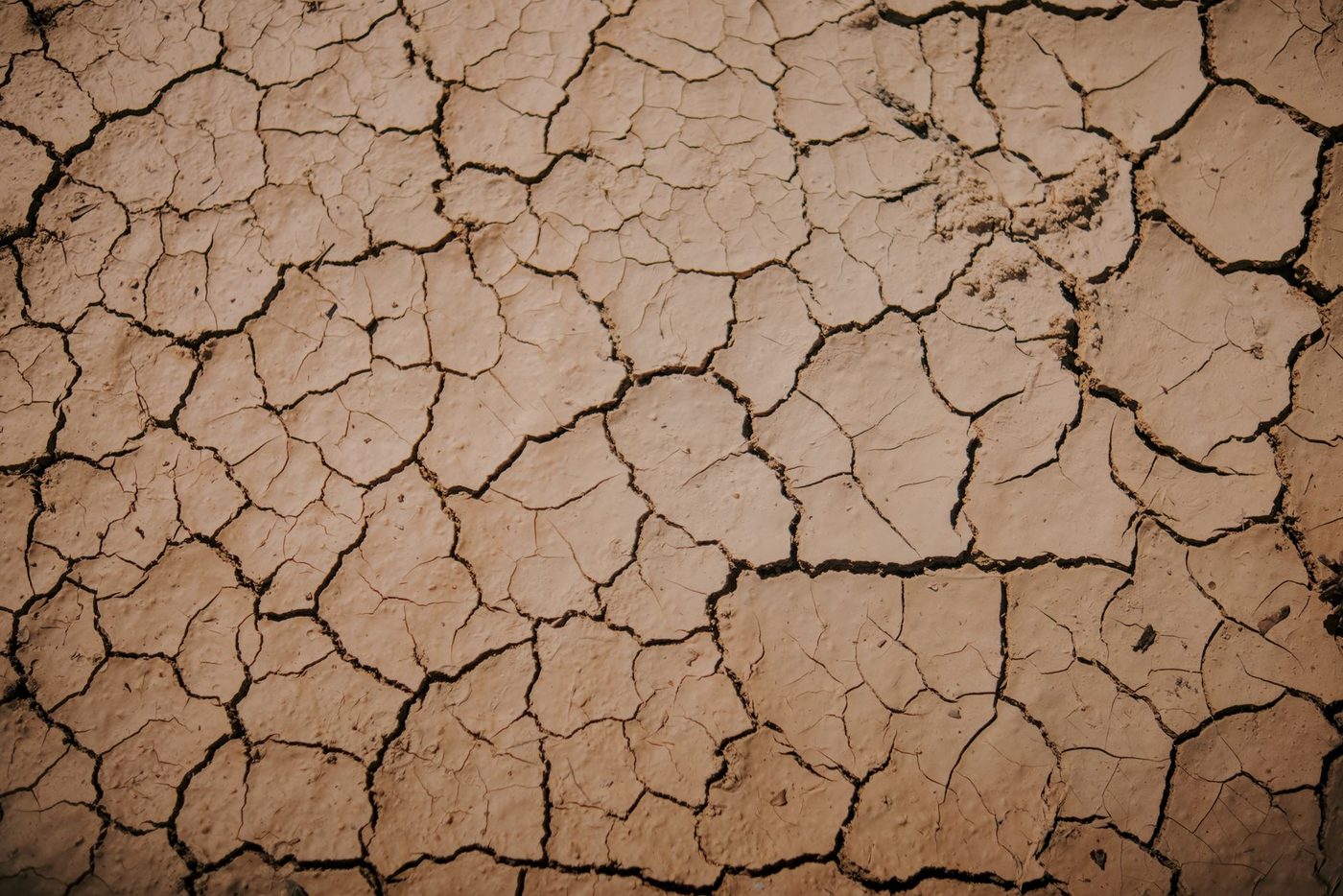 Vlaanderen blijft in code oranje voor droogte ondanks regen