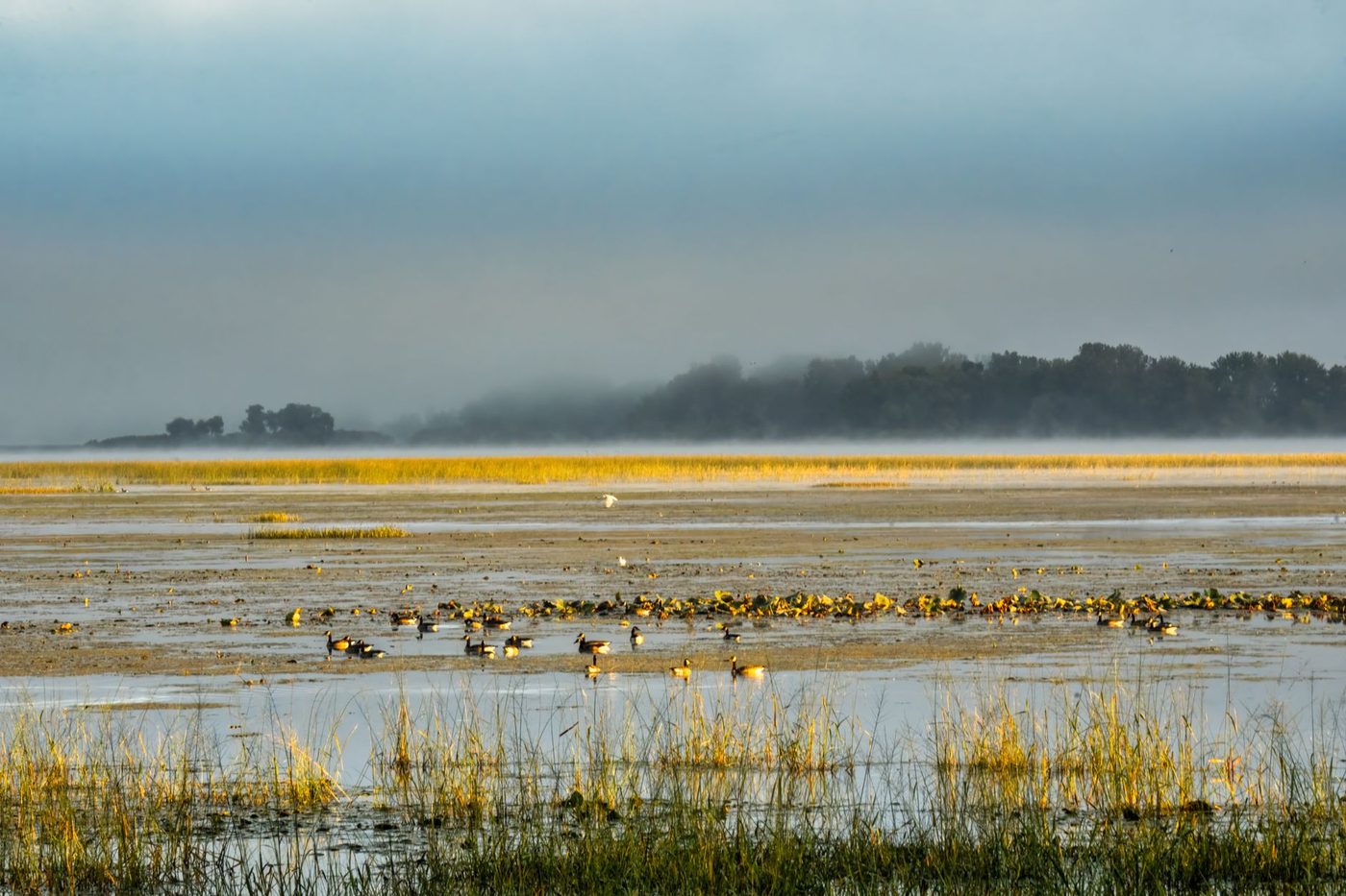 Wielsmoeras in Vorst wordt officieel beschermd natuurgebied en publiek park