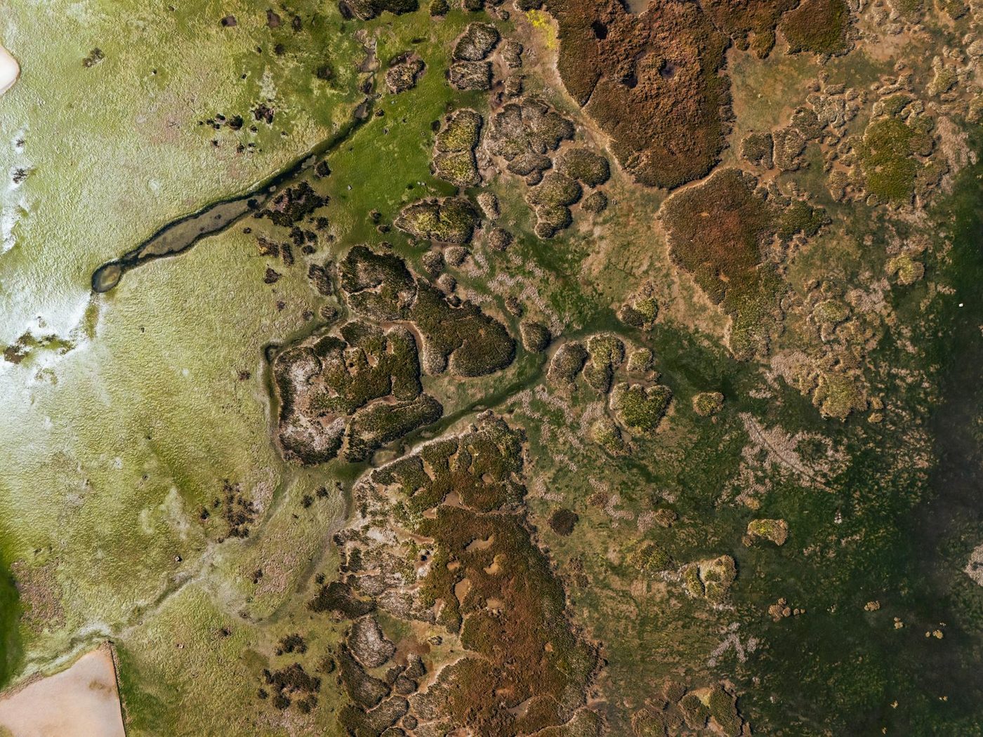 Artemis 2-astronaut: "Afstand tot Aarde maakt onze planeet nog specialer"