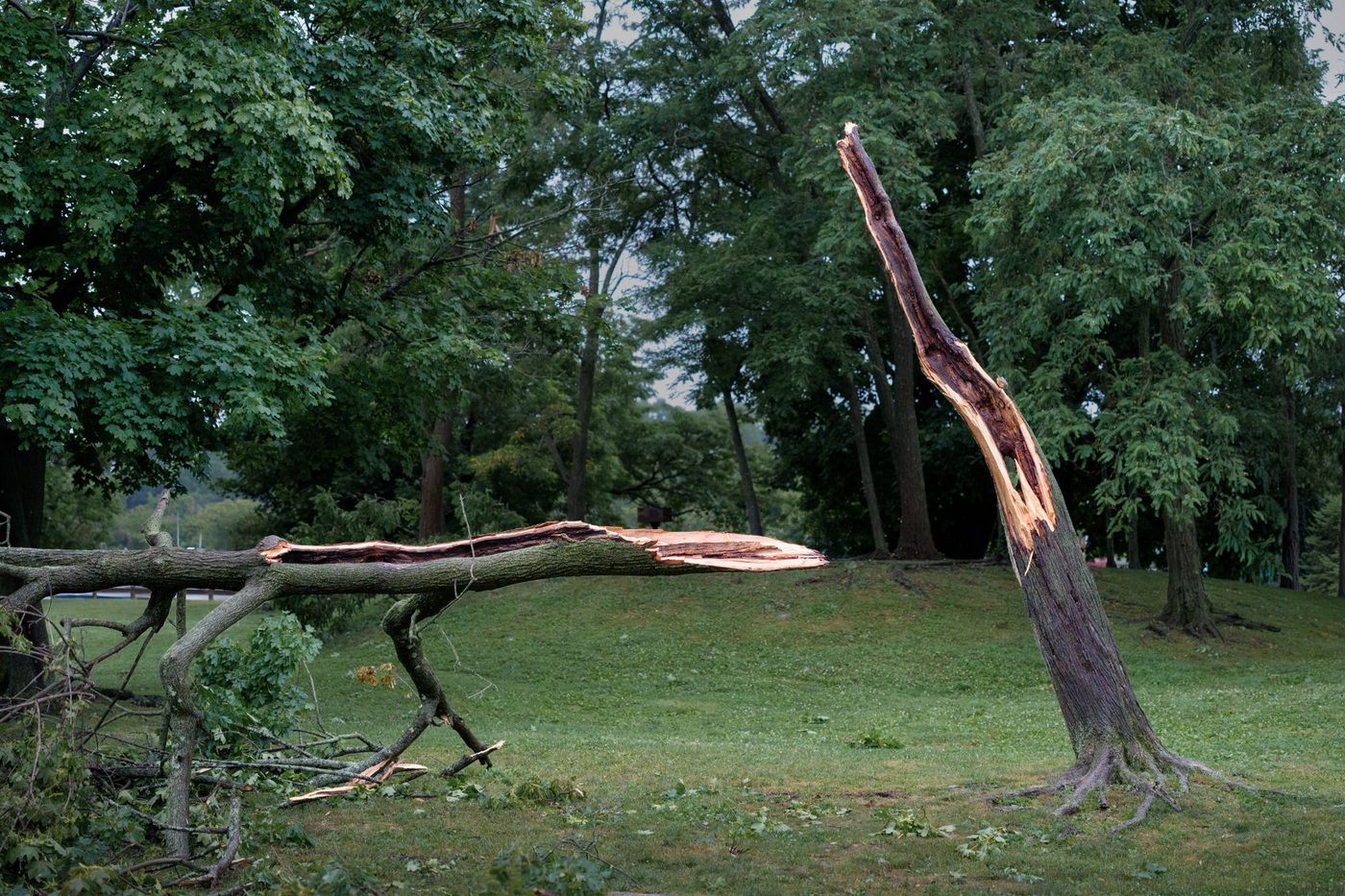 Storm Austen veroorzaakt schade in Brussel en brengt zware windstoten over België