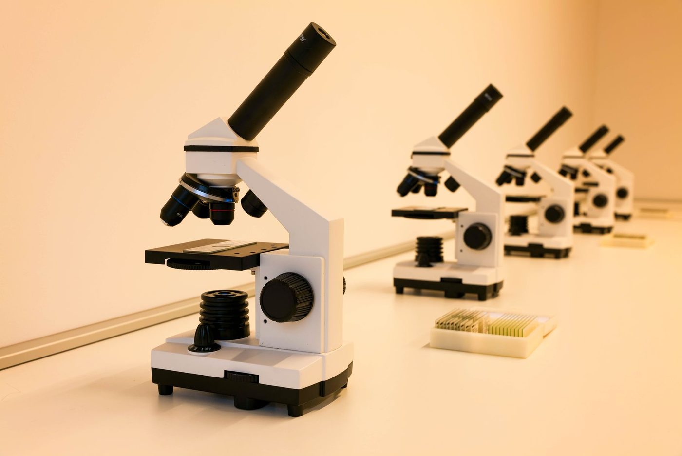 Infecties veroorzaken één op acht kankergevallen: experts benadrukken rol van vaccins