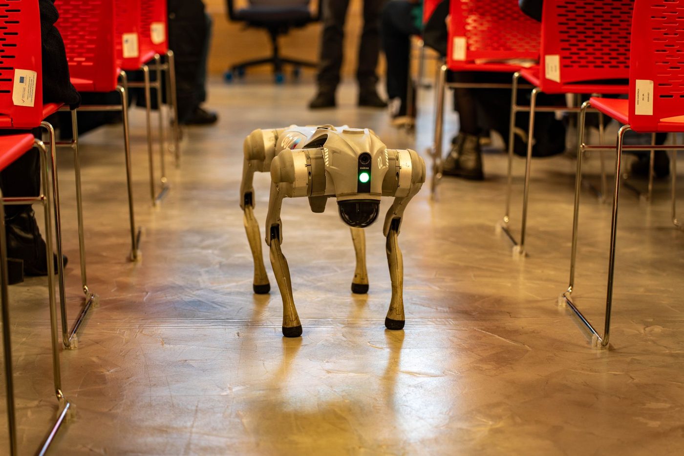 AI-agenten verhogen productiviteit maar zorgen voor minder creatieve diversiteit