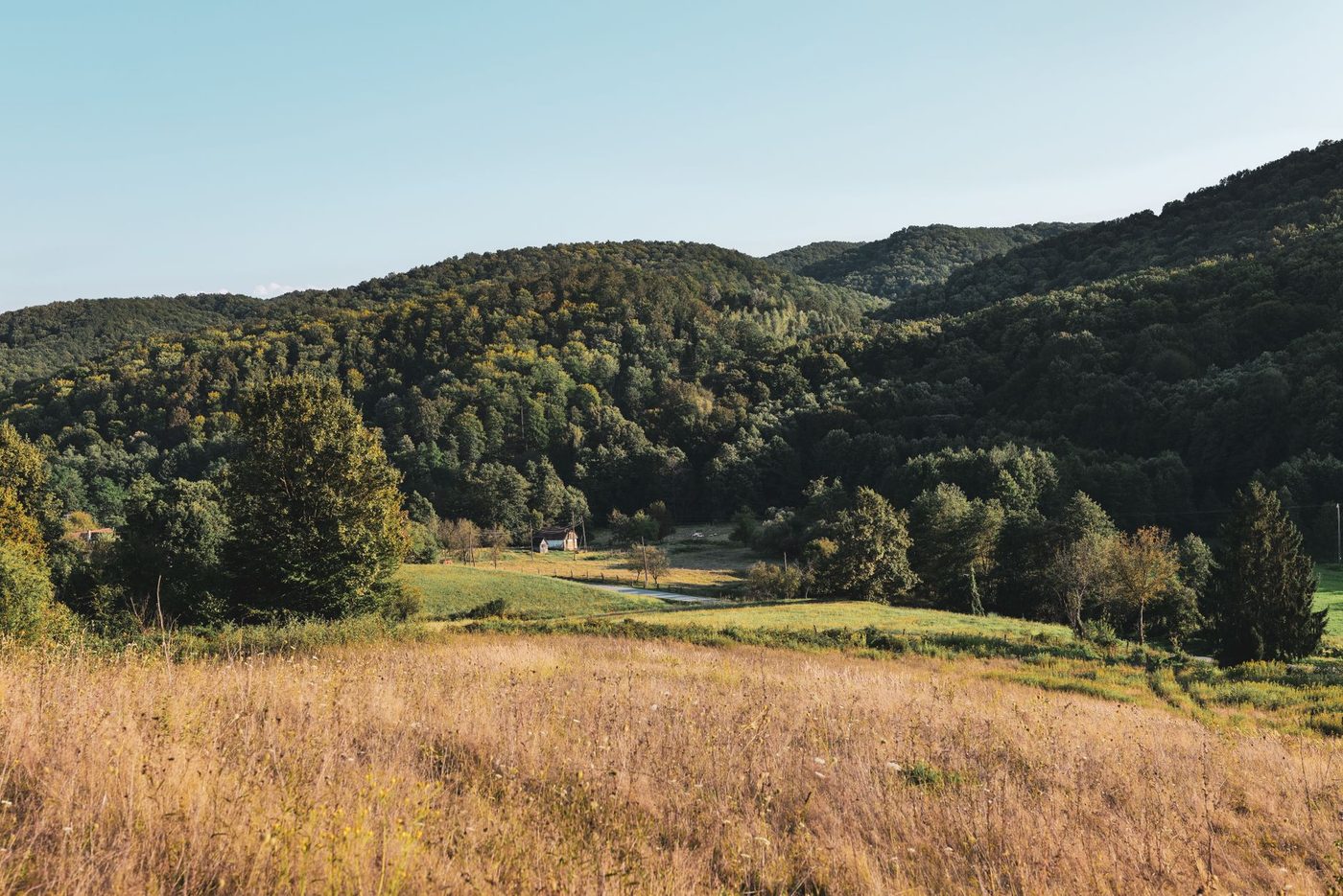EU toont begrip voor lidstaten die natuurdeadline misten