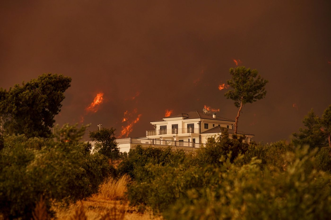 Chaos in Bordeaux: Grootschalige evacuaties door woeste bosbranden