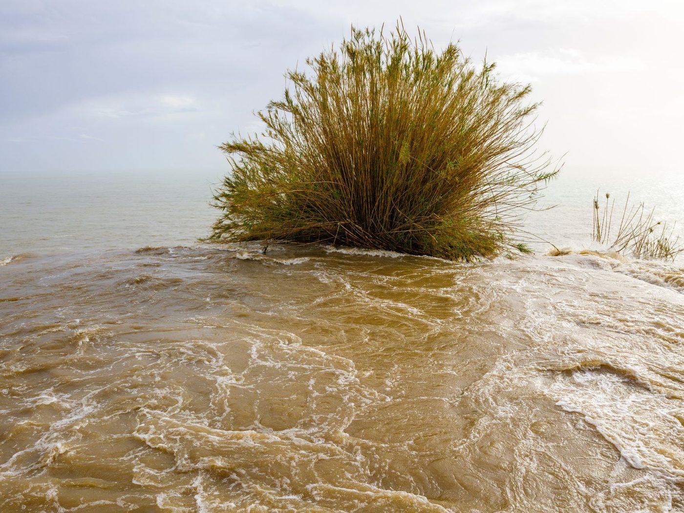 El Niño veroorzaakt dramatische stijging van zeeniveau in het oostelijk Pacifisch gebied