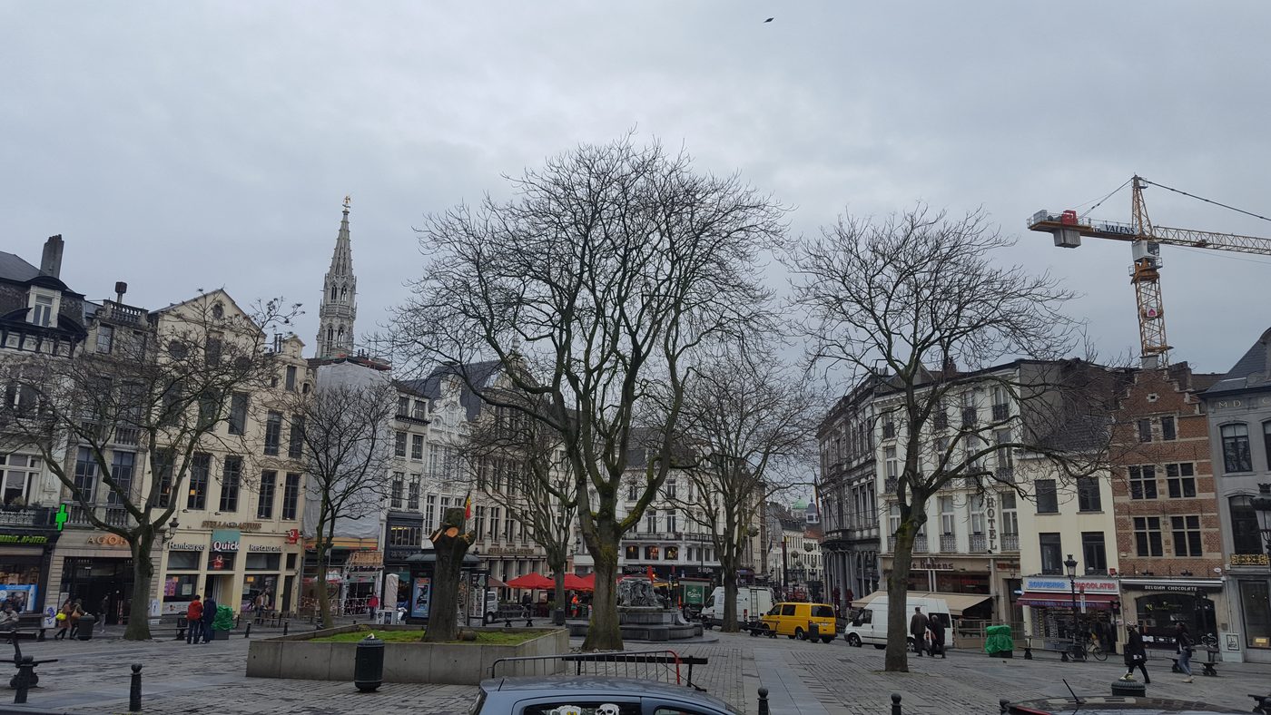 Ophef over preventieve bomenkap op Brusselse Grasmarkt