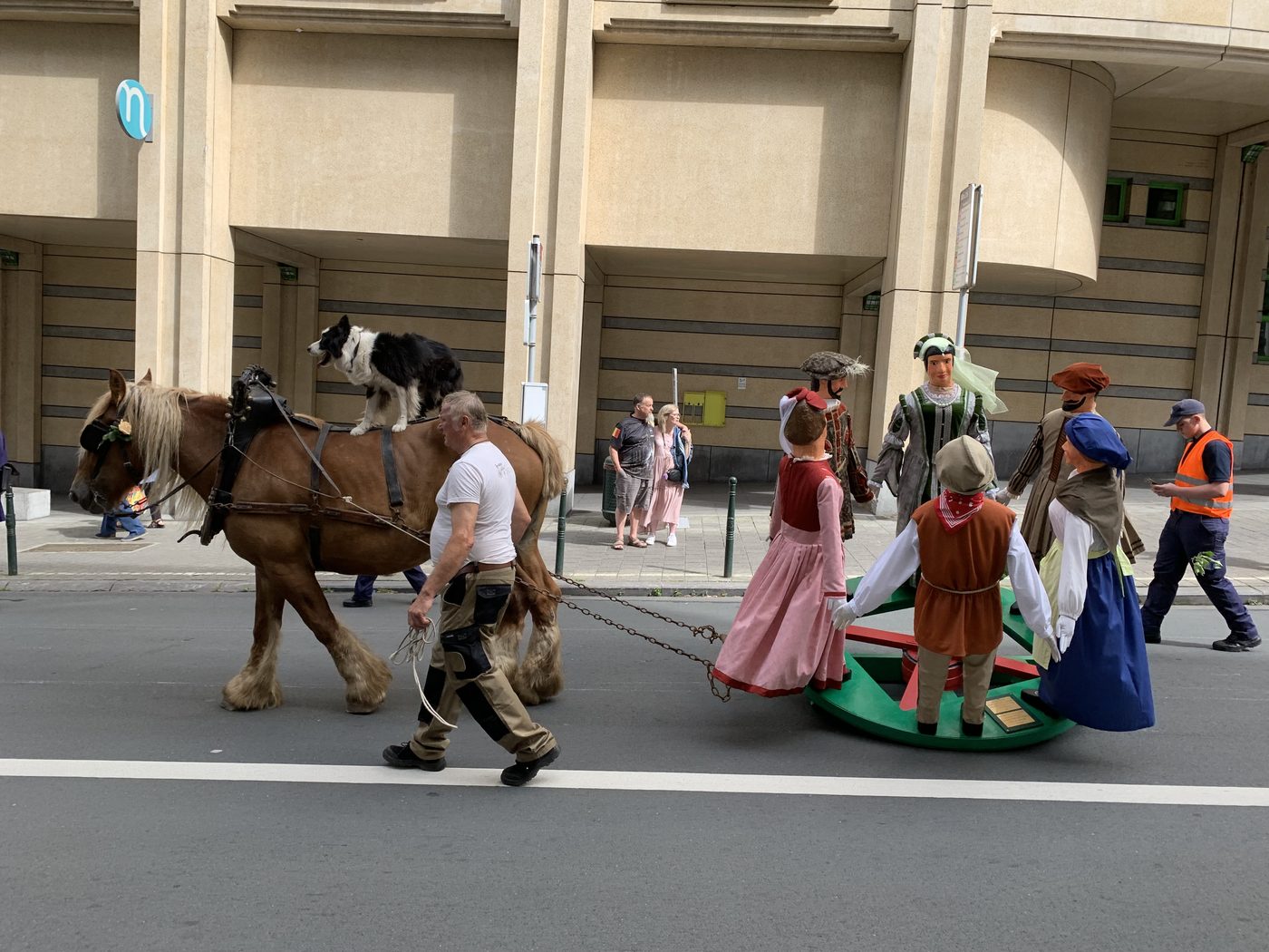 Meyboom in Leuven omvergereden door vuilniswagen: symbool staat weer recht, maar korter